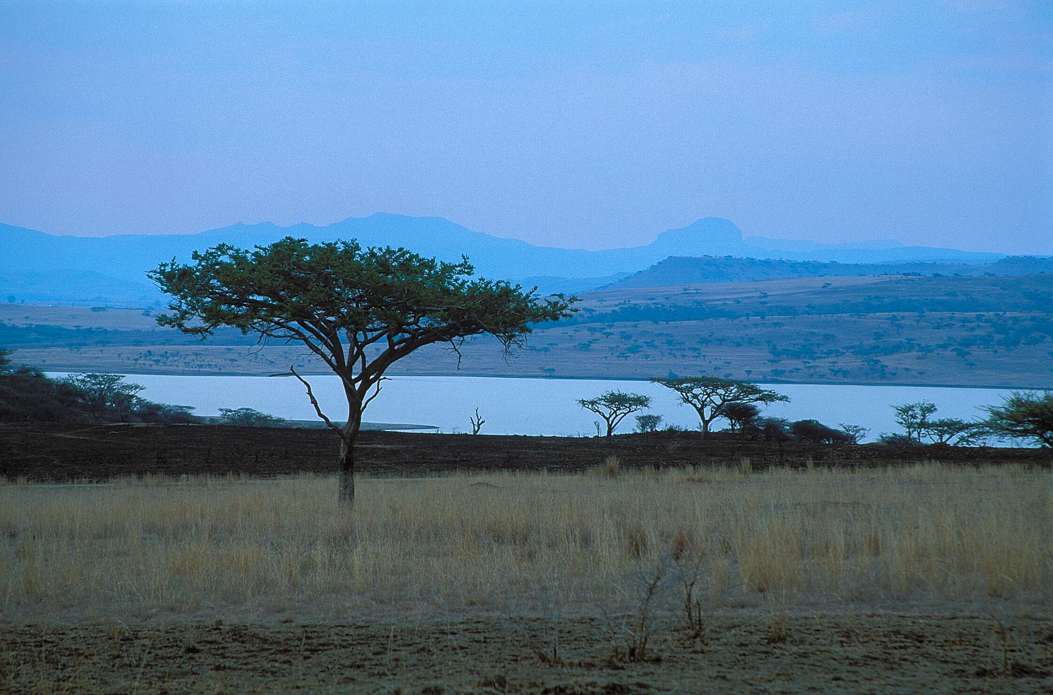 Kwazulu Natal